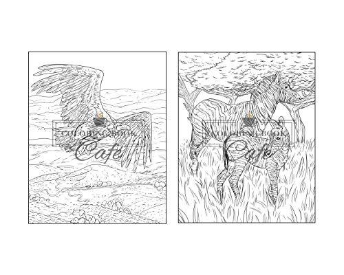 100 Wildlife Scenes: An Adult Coloring Book Featuring 100 Most Beautiful Wildlife Scenes with Animals, Birds and Flowers from Oceans, Jungles, Forests and Savannas WoodArtSupply