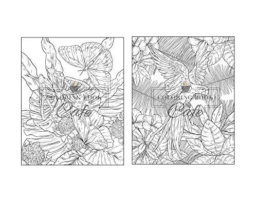 100 Wildlife Scenes: An Adult Coloring Book Featuring 100 Most Beautiful Wildlife Scenes with Animals, Birds and Flowers from Oceans, Jungles, Forests and Savannas WoodArtSupply