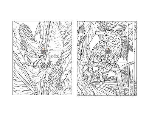 100 Wildlife Scenes: An Adult Coloring Book Featuring 100 Most Beautiful Wildlife Scenes with Animals, Birds and Flowers from Oceans, Jungles, Forests and Savannas WoodArtSupply