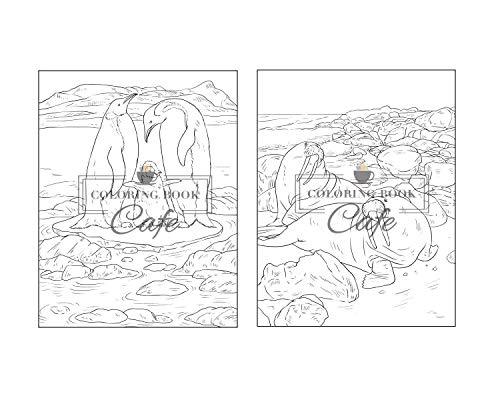 100 Wildlife Scenes: An Adult Coloring Book Featuring 100 Most Beautiful Wildlife Scenes with Animals, Birds and Flowers from Oceans, Jungles, Forests and Savannas WoodArtSupply