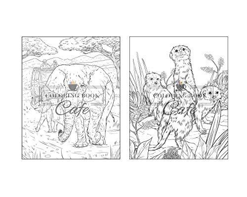 100 Wildlife Scenes: An Adult Coloring Book Featuring 100 Most Beautiful Wildlife Scenes with Animals, Birds and Flowers from Oceans, Jungles, Forests and Savannas WoodArtSupply