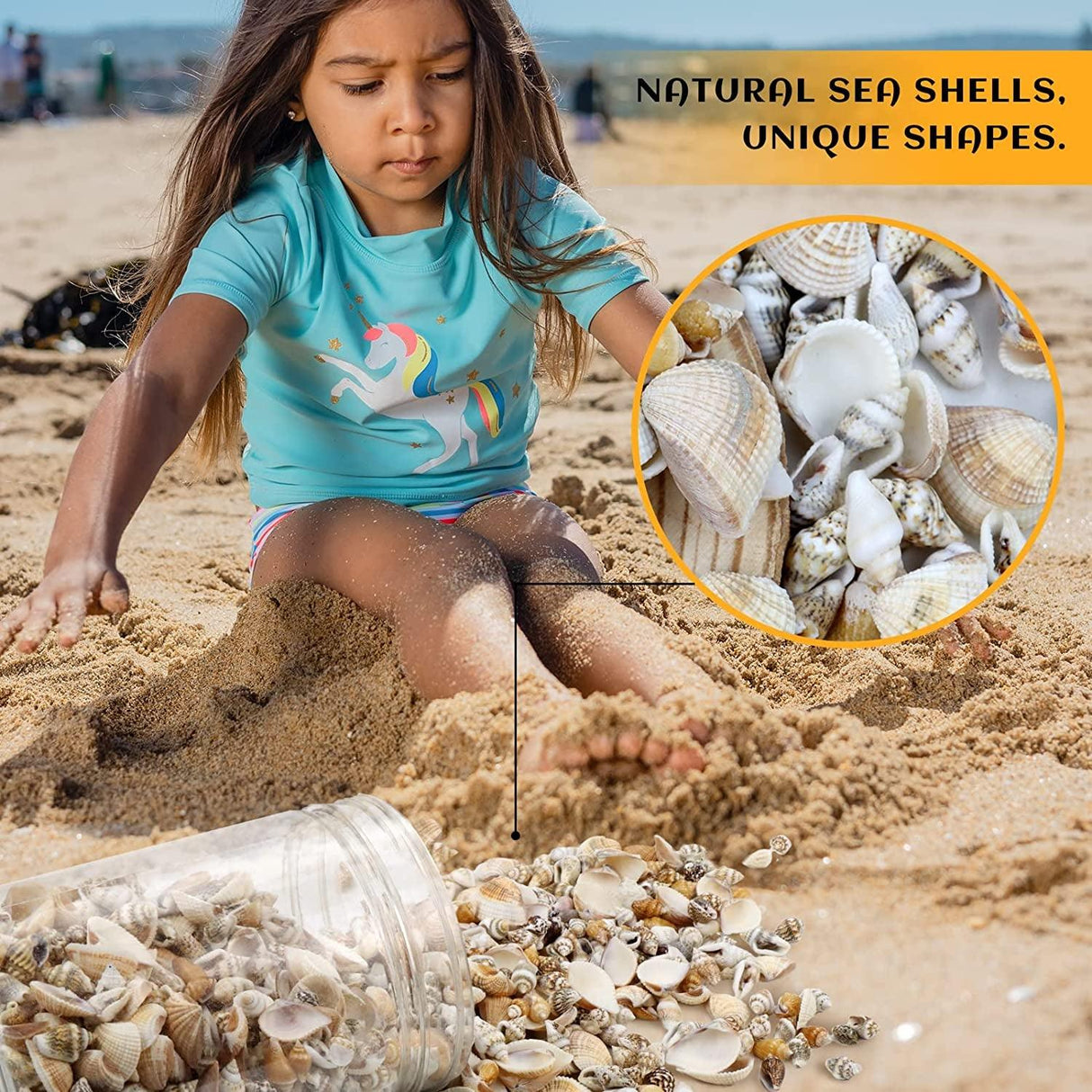 1000Pcs Mini Sea Shells Mixed Ocean Beach Seashells Various Sizes Natural Seashells Starfish for Fish Tank, Home Decorations, Beach Theme Party, WoodArtSupply