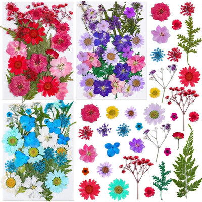 100Pcs Pressed Dried Flowers for Resin Molds, Natural Dried Flower Herbs Kit for Scrapbooking Supplies Card Making Supplies Resin Jewelry Making Soap