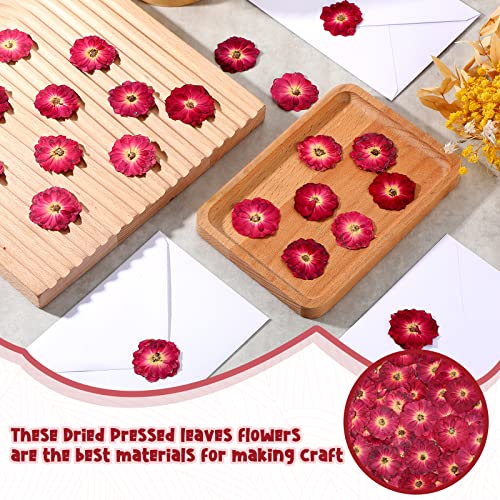 100 Pcs Red Rose Dried Pressed Flowers Small Dry Flowers Real Natural Resin Filler for Scrapbooking DIY Resin Crafts Candle Decoration Jewelry Crafts Woanger