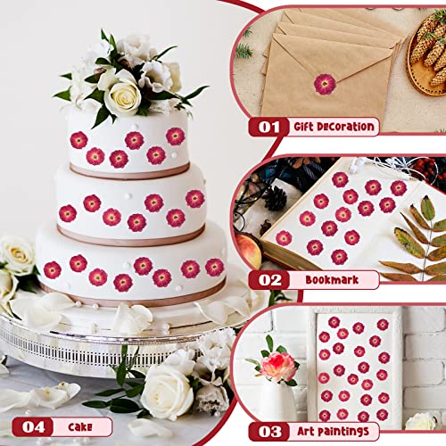 100 Pcs Red Rose Dried Pressed Flowers Small Dry Flowers Real Natural Resin Filler for Scrapbooking DIY Resin Crafts Candle Decoration Jewelry Crafts Woanger