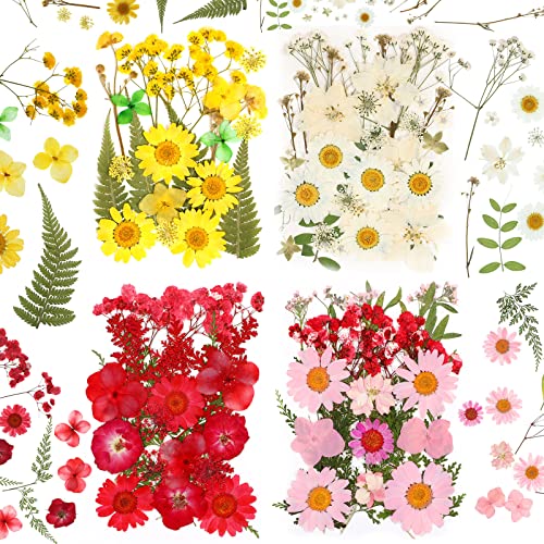 100 Pieces Dried Pressed Flowers for Resin Real Nature Flowers with Leaves Dried Flowers for Crafts DIY Art Candle Soap Making Nail Decors (Daisy Cindeer