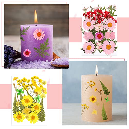 100 Pieces Dried Pressed Flowers for Resin Real Nature Flowers with Leaves Dried Flowers for Crafts DIY Art Candle Soap Making Nail Decors (Daisy Cindeer