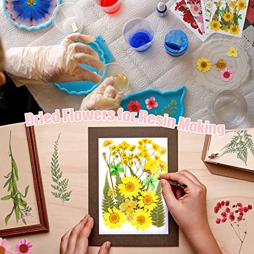 100 Pieces Dried Pressed Flowers for Resin Real Nature Flowers with Leaves Dried Flowers for Crafts DIY Art Candle Soap Making Nail Decors (Daisy Cindeer