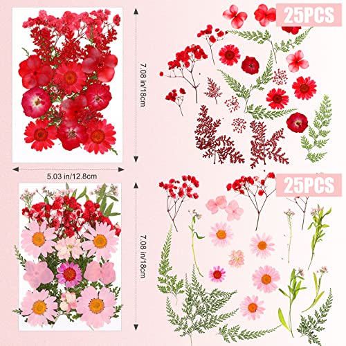 100 Pieces Dried Pressed Flowers for Resin Real Nature Flowers with Leaves Dried Flowers for Crafts DIY Art Candle Soap Making Nail Decors (Daisy Cindeer