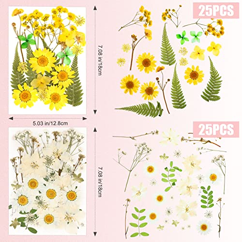 100 Pieces Dried Pressed Flowers for Resin Real Nature Flowers with Leaves Dried Flowers for Crafts DIY Art Candle Soap Making Nail Decors (Daisy Cindeer