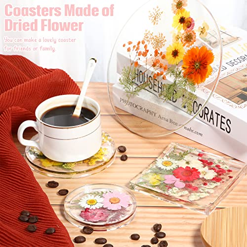 100 Pieces Dried Pressed Flowers for Resin Real Nature Flowers with Leaves Dried Flowers for Crafts DIY Art Candle Soap Making Nail Decors (Daisy Cindeer