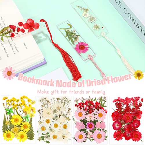 100 Pieces Dried Pressed Flowers for Resin Real Nature Flowers with Leaves Dried Flowers for Crafts DIY Art Candle Soap Making Nail Decors (Daisy Cindeer