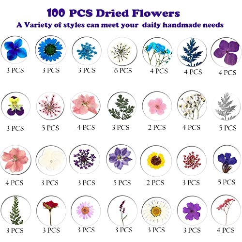 100pcs Dried Pressed Flowers for Resin, Real Pressed Flowers Dry Leaves Bulk Natural Herbs Kit for Scrapbooking DIY Art Crafts, Epoxy Resin Jewelry, MUCBAFLY