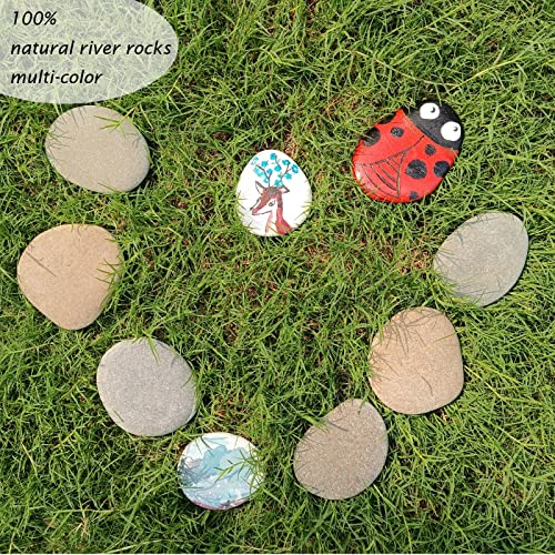10PCS Extra Large River Rocks for Painting, Flat Painting Rocks 3.9-4.7 Inches Rocks to Paint, Smooth Rocks for Painting, Rock Painting for Kids EXJIOTA