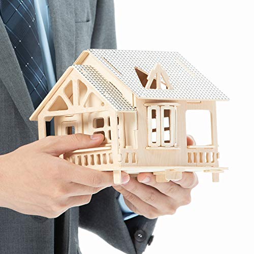 10 Pack Balsa Wood Sheets, Natural Unfinished Wood for House Aircraft Ship Boat DIY Wooden Plate Model, School Projects, Craft Project 100x200x1.5mm Thyores