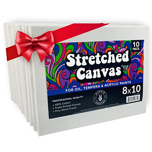 10 Pack Stretched Canvases for Painting 8x10 Blank Paint Canvases for Painting Supplies Painting Canvas Acrylic Paint, Oil Art Small Canvases for HIPPIE CRAFTER