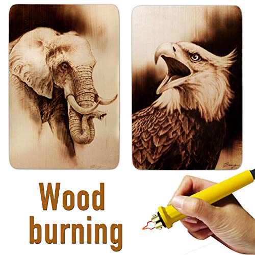 10 Pack Wood Sheets, Premium Natural Unfinished Wood Board, Thin Wooden Pieces for Painting, Carving, Craft Project or School Project (300x200x1.5mm) Rainmae