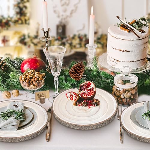 10 Pieces 8-9 Inch Wood Slices,Round Natural Wood Slices with Wood Table Number Holders and Cards,for Weddings,Table Centerpieces BBRGIRL