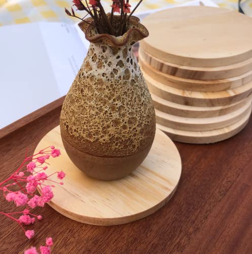 10 pcs Unfinished Wood Coasters Wooden Bar Coaster 4" Wood Slices for Crafts & Wedding Decoration, Blank Coasters Wood Kit for DIY Architectural Phinicco