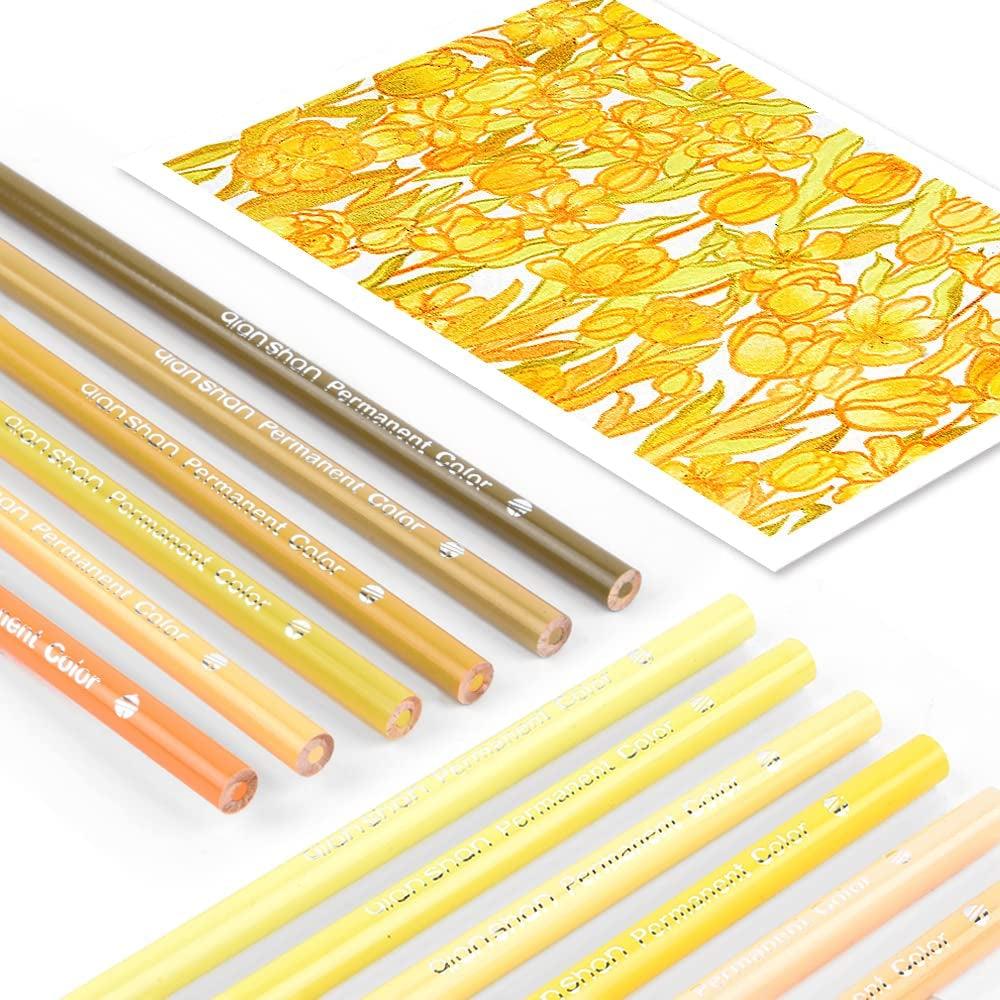 12 Yellow Colored Pencils Oil Based Pre-Sharpened Wooden Colored Pencil Set WoodArtSupply