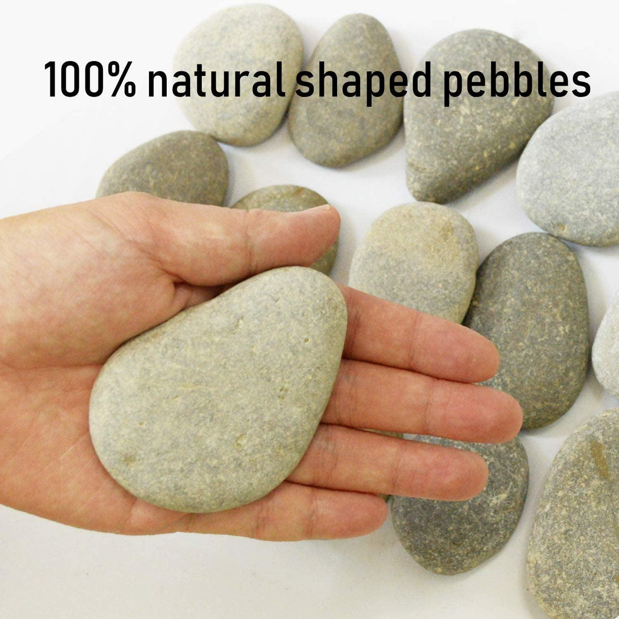 20PCS Large Painting Rocks Natural River Rocks Flat Rocks 2"-3" Stones WoodArtSupply