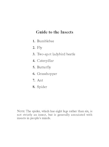 Insects Mini Stained Glass Coloring Book (Dover Little Activity Books: Insects) Dover Publications