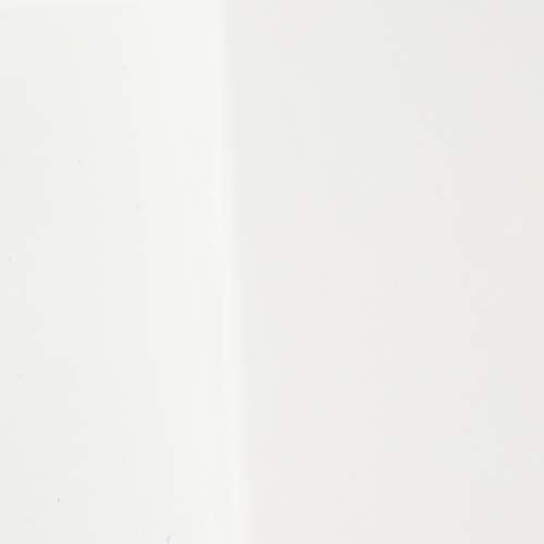 ZINUS Patricia White Metal Canopy Platform Bed Frame, Mattress Foundation with Steel Slat Support, No Box Spring Needed, Easy Assembly, Queen Zinus