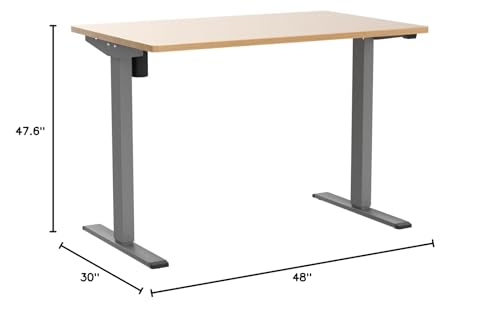 FLEXISPOT Height Adjustable Desk 48 x 30 inch Electric Standing Desk Whole-Piece Desk Board Stand Up Desk for Home Office (Gray Frame + 48" Natural Top) FLEXISPOT