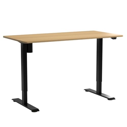 FLEXISPOT Standing Desk Height Adjustable Desk Electric Sit Stand Desk Home Office Table (55x28 Black+Maple 2 Packages) FLEXISPOT