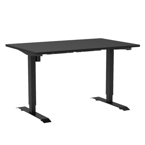 FLEXISPOT Standing Desk 48 x 30 Inches Height Adjustable Electric Sit Stand Home Office Desks Whole Piece Desk Board (Black Frame + Black top,2 Packages) FLEXISPOT