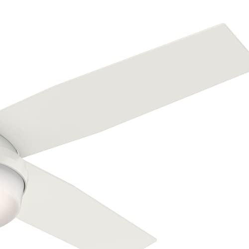 Hunter Fan Company 59242 Hunter 52" Dempsey Indoor Low Profile Ceiling Fan with Light, Fresh White Finish Hunter