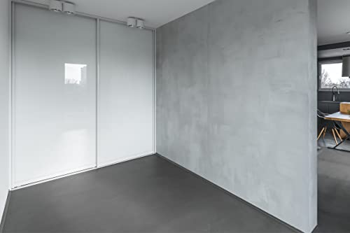 EPODEXยฎ 2K Concrete Paint Epoxy Resin Based Floor Coaint Kit Many Colors Garage Floors, Industrial Floors, Parking Spaces, Masonry, Screed, Cement, Micro Cement| 90min Curing time EPODEX