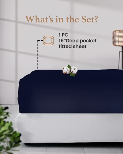 Good Sleep Bedding Twin XL Fitted Sheet - Single Fitted Sheet, 800 Thread Count, Egyptian Cotton Extra Long Twin, 16 Inch Deep Pocket, Soft & Breathable Dorm Sheets - Navy Blue Good Sleep Bedding