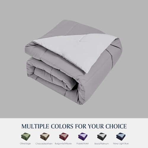 Blue Ridge Home Fashions Comforter Breathable Microfiber Duvet Insert, Summer Cooling Winter Warm Reversible Down Alternative Quilt Comforter for All Season, King, White/Platinum Blue Ridge Home Fashions