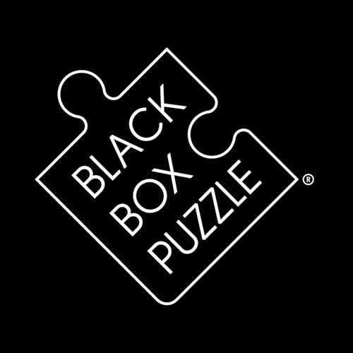 Misu Games Black Box Puzzle Without Template, Jigsaw Puzzles for Adults 1000 Pieces, Cool Jig-Saw Puzzels 20x27 Multiple Categories, Difficult Puzzle Architecture Level 4 Misu