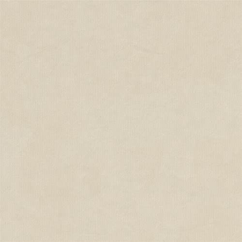 Mr. Kate Tess Sofa with Soft Pocket Coil Cushions, Small Space Living Room Furniture, White Linen Mr. Kate