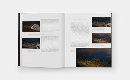 Landscapes in Oil: A Contemporary Guide to Realistic Painting in the Classical Tradition Monacelli Studio