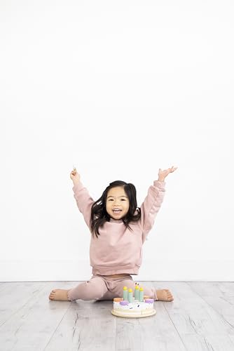 Pearhead Celebration Montessori Birthday Cake Toy Set, Wooden Play Toys for Developmental Learning, Play Kitchen Sets for Toddlers Ages 3+ Years, Pretend Play Food Sets, 14 Piece Wooden Play Toy Set Pearhead