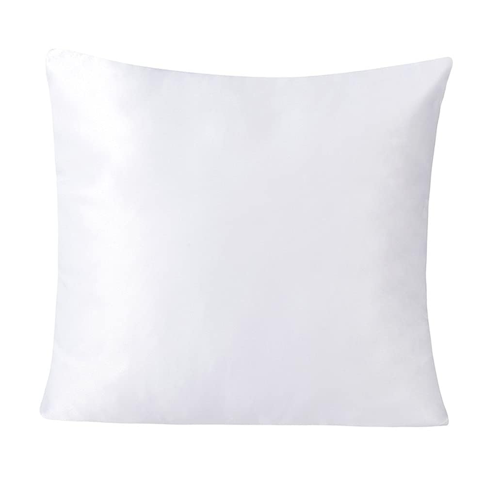 H-E Plain White Sublimation Blank Pillow Case DTF Printing Fashion Cushion Pillowcase Cover for Sublimation and DTF Printing DIY Throw Pillow Covers (10pcs/Pack) H-E