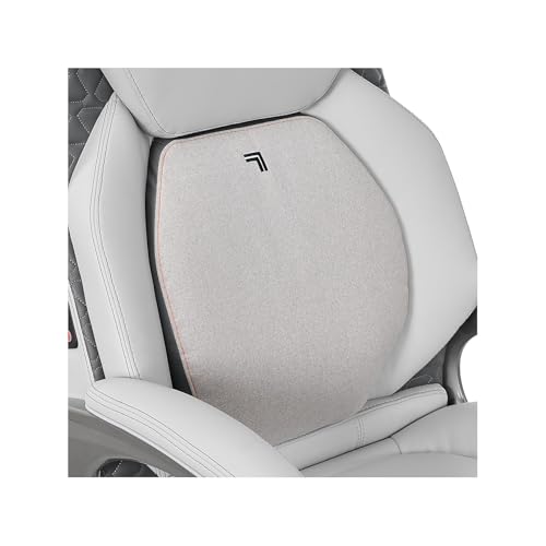 Sharper Image S600 Active Lumbar Ergonomic Bonded Leather Swivel Executive Massage Chair, White/Gray LS LIVING STYLE