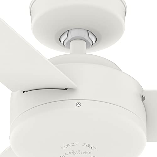 Hunter Fan Company 51848 Presto Ceiling Fan, Matte White, 10.09x44x44 Hunter