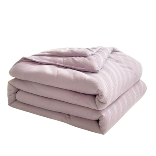 RDIAYDN Summer Quilt, Soft and Comfortable Polyester Microfiber Bed Duvets, Duvets Filling Fibers, For Summer Single Double Bed (C,180x220cm) RDIAYDN