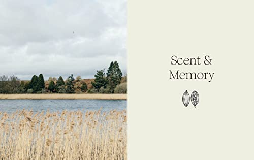 Candles: A Modern Guide to Making Soy Candles WoodArtSupply