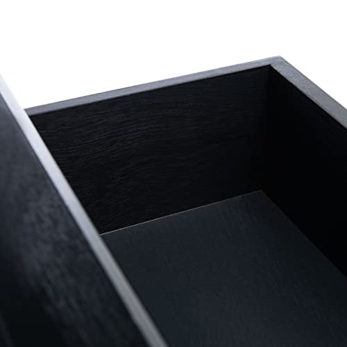 Safavieh Home Collection Athena Black 2-Drawer Console Table SAFAVIEH