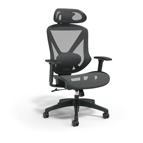 STAPLES Dexley Ergonomic Mesh Office Chair - Adjustable Height, Swivel Tilt, Lumbar Support, Black STAPLES