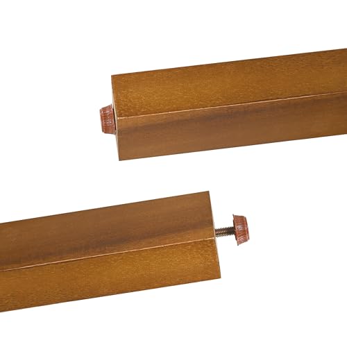 Christopher Knight Home Lena Patio Accent Chair, Acacia Wood Club Chair, Wicker Backrest Armchair, Upholstered Cushion Seating, Wooden Chairs for Balcony Backyard Garden, 23.5" 400lbs Teak+Cream Christopher Knight Home