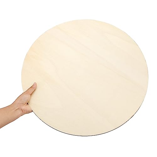 MAHIONG 20 Pack 12 Inch 1/8 Thick Round Wood Circles, Natural Premium Unfinished Wood Circles Wood Rounds, Wood Circles for Crafts Door Hangers Acrylic Painting MAHIONG