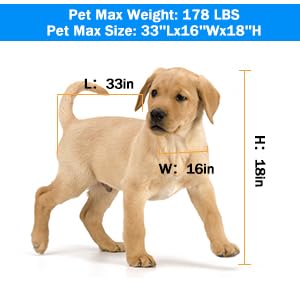 WSSEY 34'' Dog Washing Station for Small Dogs Grooming Tub Bathing Station Professional Pet Wash Station Bathtub for Home with Sliding Door, Faucet, Steps WSSEY