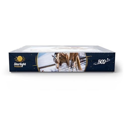 MyPuzzle American Paint Horse On Snow - Premium 500 Piece Jigsaw Puzzle for Adults MyPuzzle.com