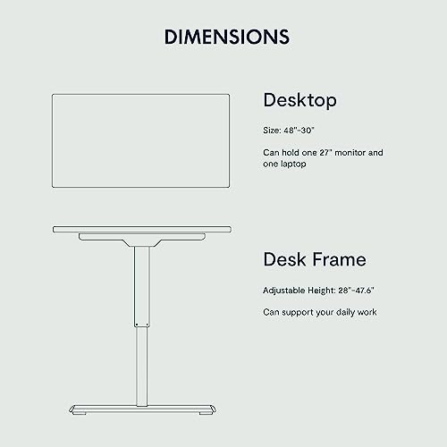 FLEXISPOT Height Adjustable Desk 48 x 30 inch Electric Standing Desk Whole-Piece Desk Board Stand Up Desk for Home Office (Gray Frame + 48" Natural Top) FLEXISPOT